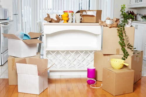 Professional mover carrying boxes during a Balham relocation