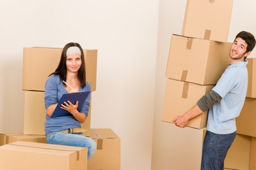 Packing materials and labelled boxes for a Balham relocation